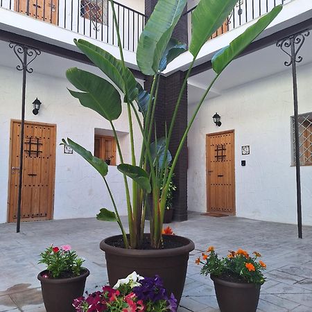 Suite San Mateos 15 เฮเรซ เด ลาฟรอนเตรา ภายนอก รูปภาพ