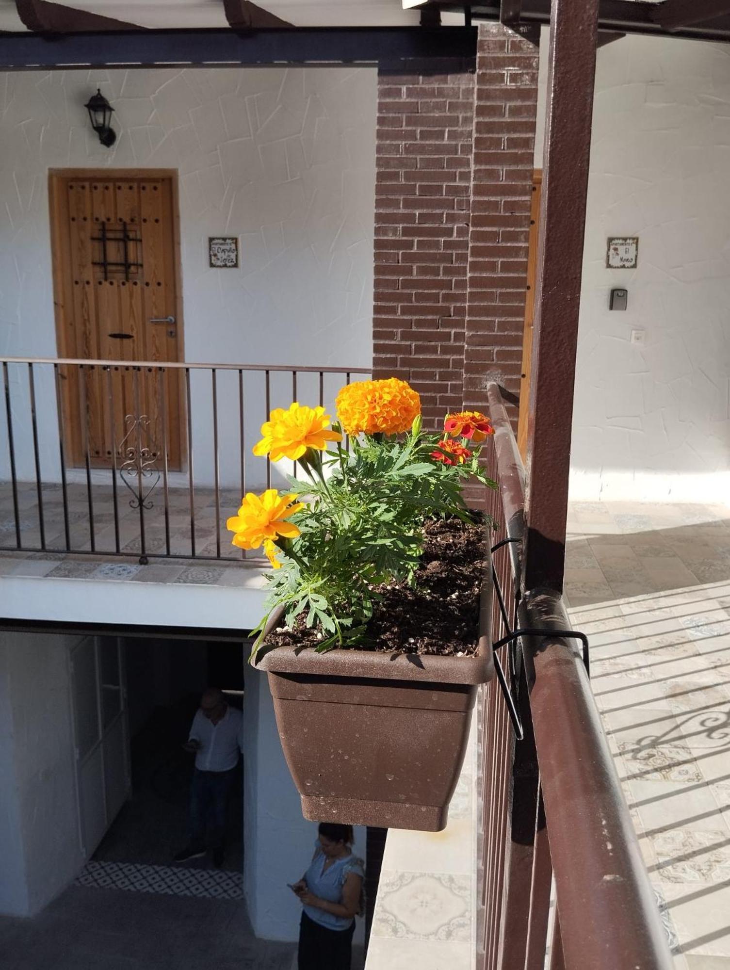 Suite San Mateos 15 เฮเรซ เด ลาฟรอนเตรา ภายนอก รูปภาพ