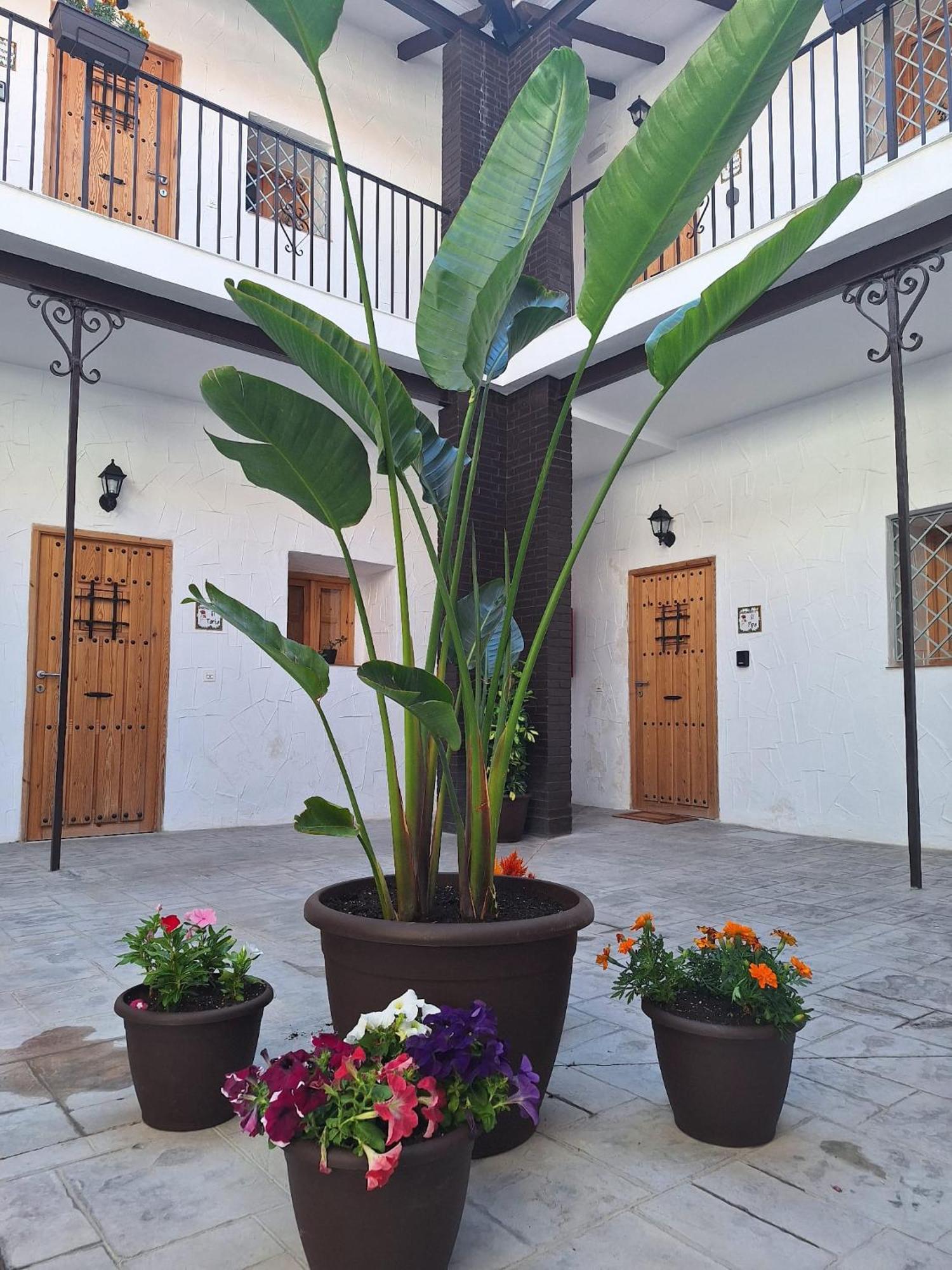 Suite San Mateos 15 เฮเรซ เด ลาฟรอนเตรา ภายนอก รูปภาพ